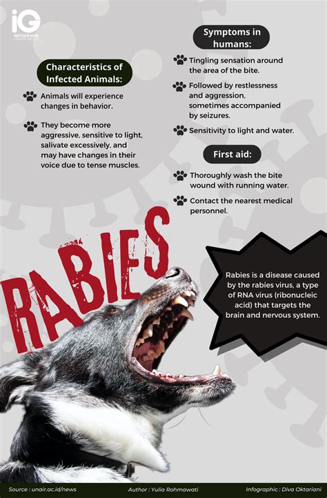 Overview, Prevention, and Treatment of Rabies.